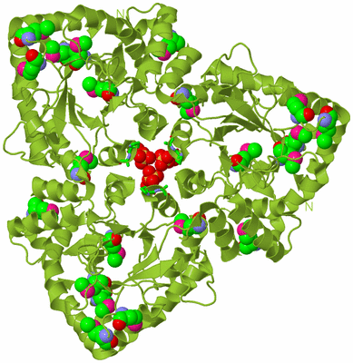 Image Biol. Unit 1 - sites