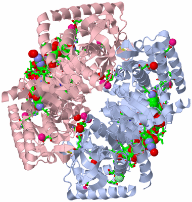 Image Biol. Unit 1 - sites