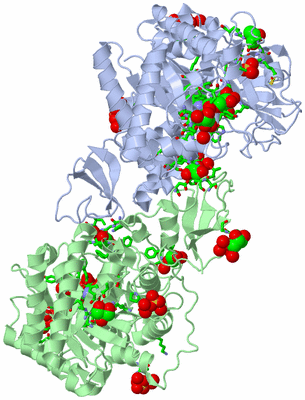 Image Asym./Biol. Unit - sites