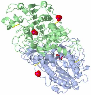 Image Asym./Biol. Unit