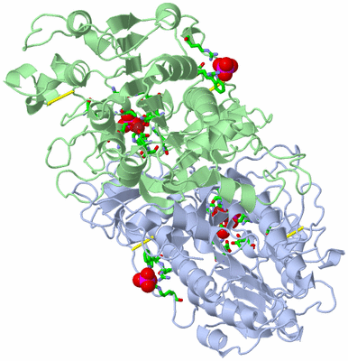 Image Asym./Biol. Unit - sites