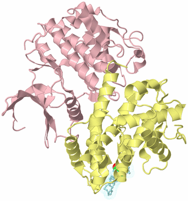 Image Biological Unit 2