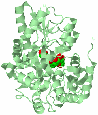 Image Biological Unit 2