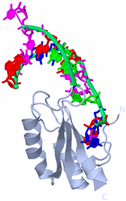 Image Biological Unit 1