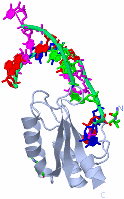 Image Biol. Unit 1 - sites