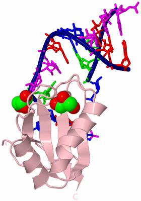 Image Biological Unit 3