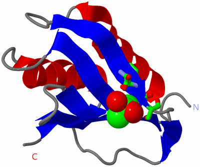 Image Asym./Biol. Unit - sites