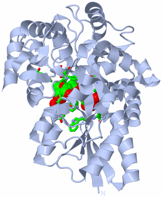 Image Biol. Unit 1 - sites