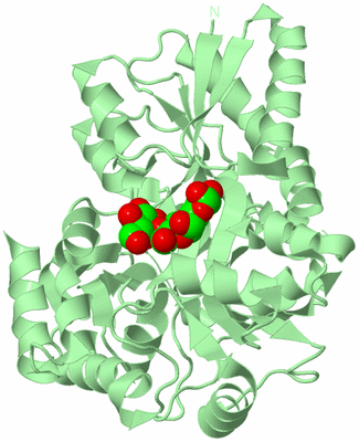 Image Biological Unit 2