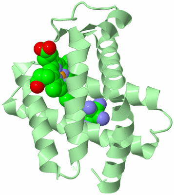 Image Biological Unit 2