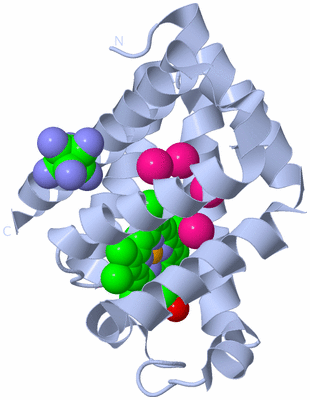 Image Biological Unit 1