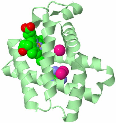 Image Biological Unit 2