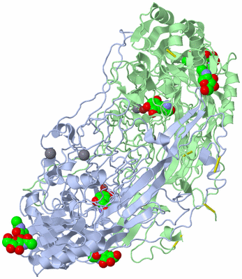 Image Asym./Biol. Unit