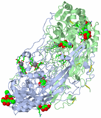 Image Asym./Biol. Unit - sites