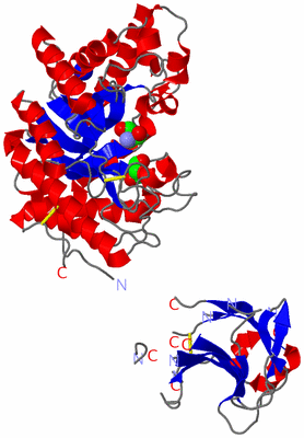 Image Asym./Biol. Unit