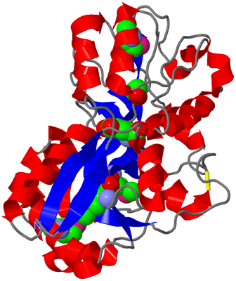 Image Asym./Biol. Unit