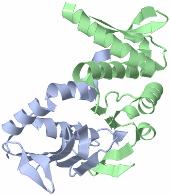 Image Asym./Biol. Unit