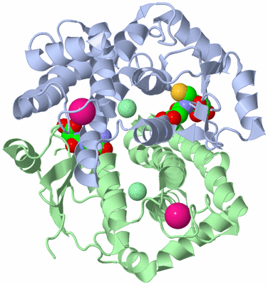 Image Asym./Biol. Unit