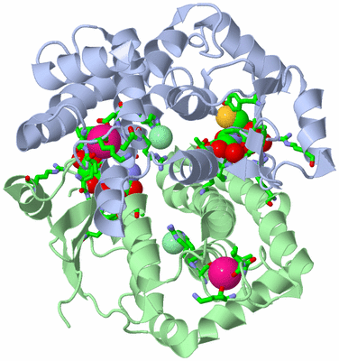 Image Asym./Biol. Unit - sites