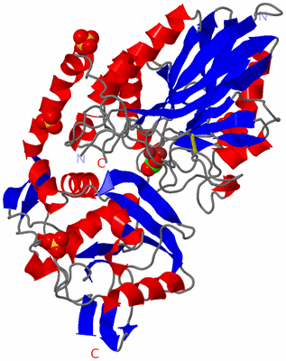 Image Asym./Biol. Unit