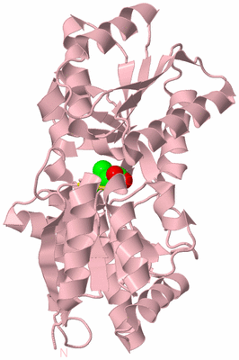 Image Biological Unit 3