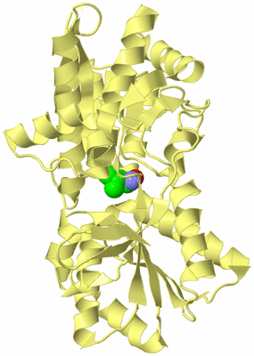 Image Biological Unit 4