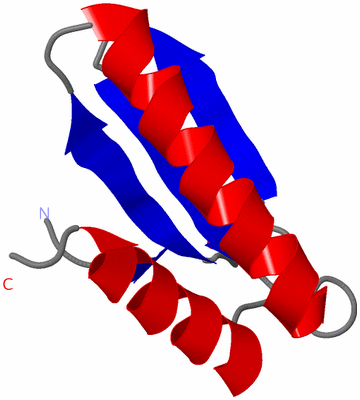 Image Asymmetric Unit