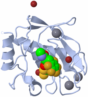 Image Biological Unit 1