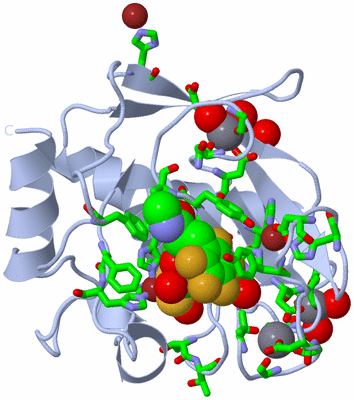 Image Biol. Unit 1 - sites