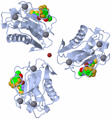 Image Biological Unit 2