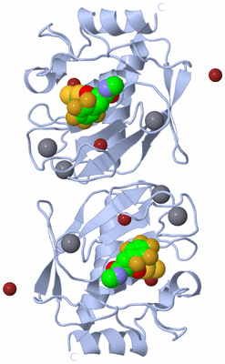 Image Biological Unit 3