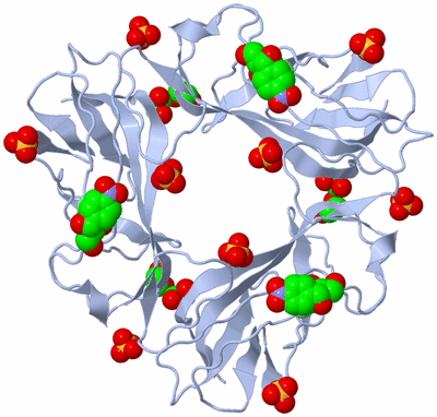 Image Biological Unit 1