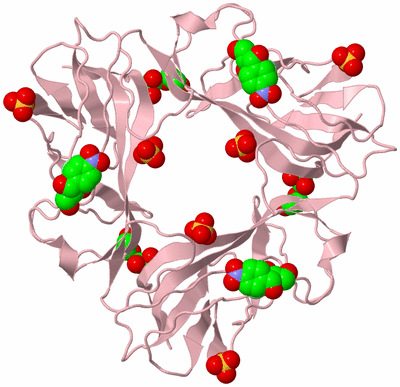 Image Biological Unit 3