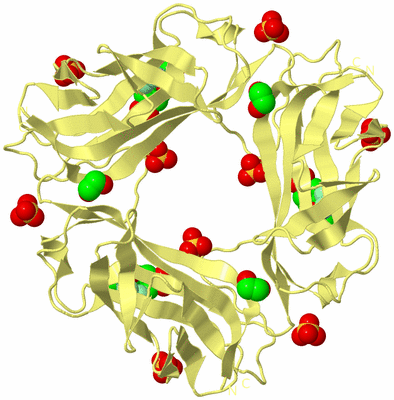 Image Biological Unit 4