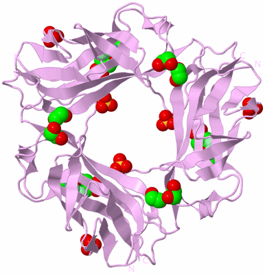 Image Biological Unit 5