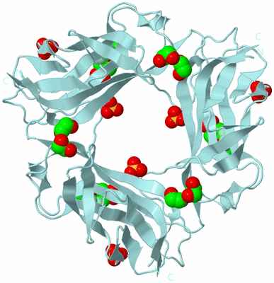 Image Biological Unit 6