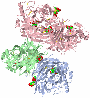 Image Biological Unit 1