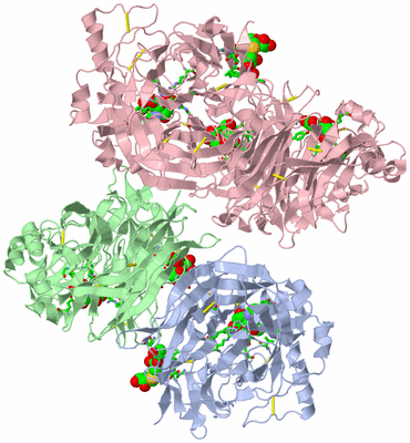 Image Biol. Unit 1 - sites