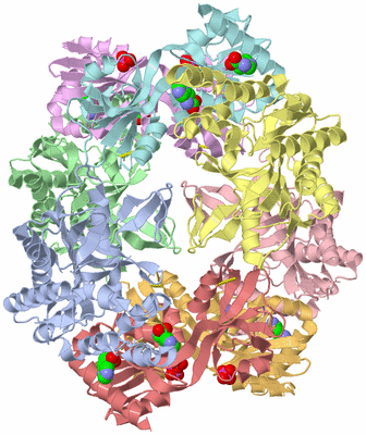 Image Asym./Biol. Unit