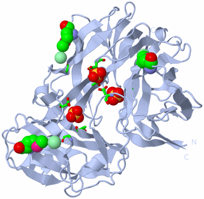 Image Biol. Unit 1 - sites