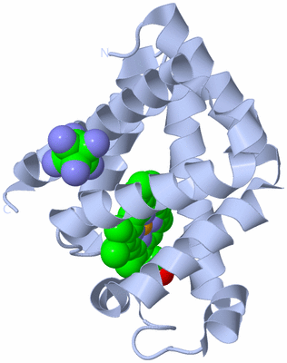 Image Biological Unit 1