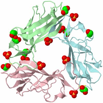 Image Biological Unit 2