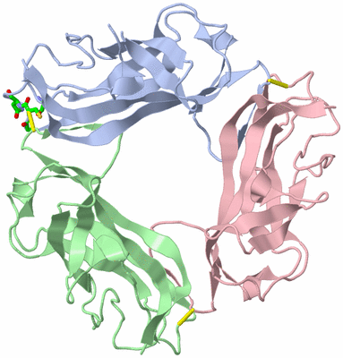 Image Biol. Unit 1 - sites