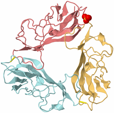 Image Biological Unit 3