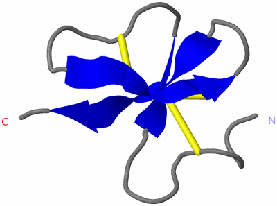 Image NMR Structure - model 1