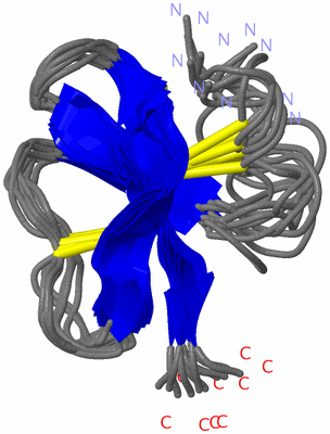 Image NMR Structure - all models