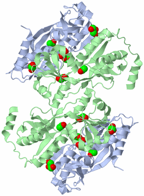 Image Biological Unit 1