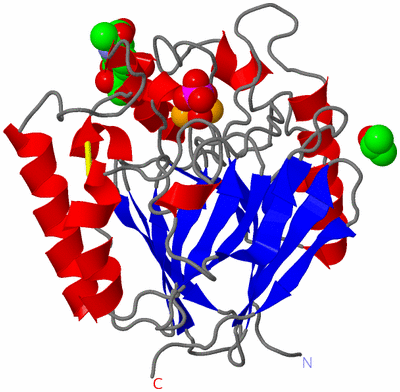 Image Asym./Biol. Unit