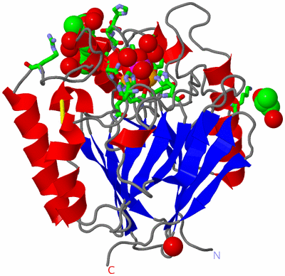 Image Asym./Biol. Unit - sites