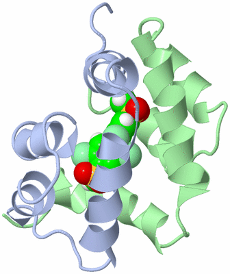 Image NMR Structure - all models